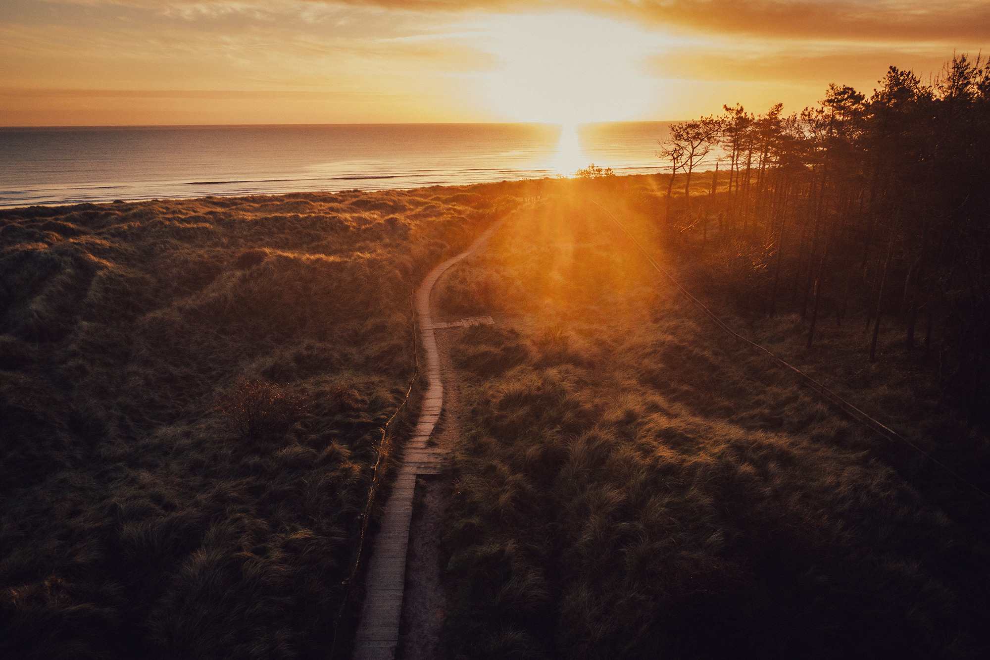 Media – Curracloe Links